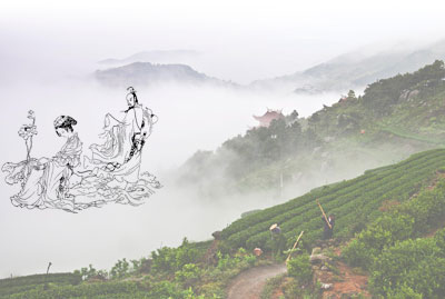 玉環(huán)火山茶的傳說(shuō)